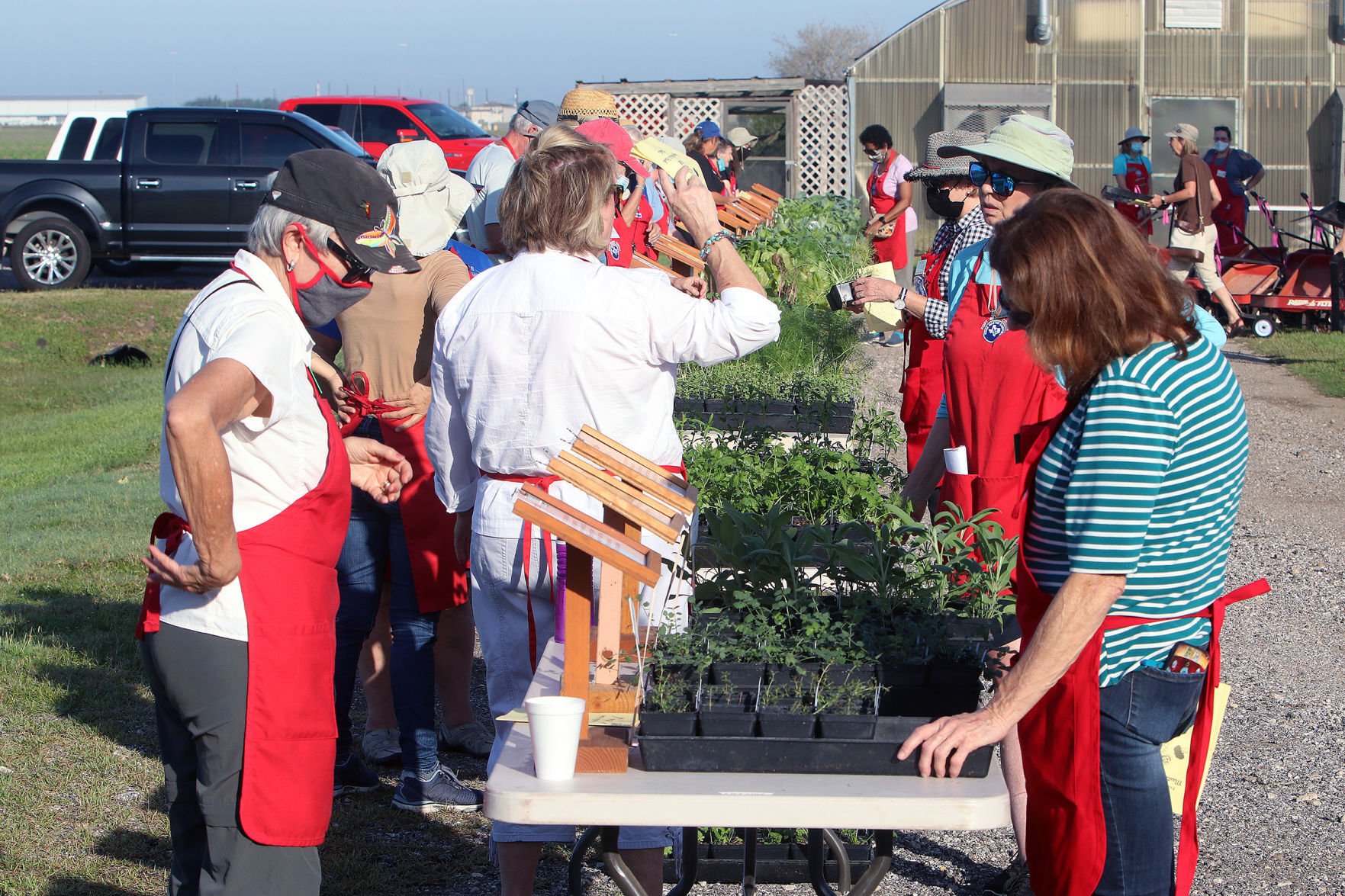 2021 Herb & Vegetable Plant Sale